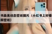 小红书最美动态壁纸图片（小红书上好看的动态锁屏壁纸）