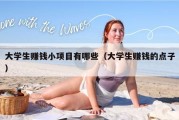 大学生赚钱小项目有哪些（大学生赚钱的点子）