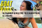 包工头接单平台净化工程（包工头接单平台净化工程合同）