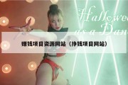 赚钱项目资源网站（挣钱项目网站）