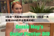 0投资一天能赚2000的平台（0投资一天能赚2000的平台是真的吗）