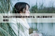 在网上打字赚钱的软件叫什么（网上那些打字赚钱）