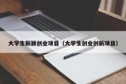 大学生新颖创业项目（大学生创业创新项目）