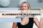 网上如何赚钱软件下载（网上怎么赚钱软件）