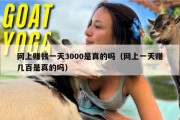 网上赚钱一天3000是真的吗（网上一天赚几百是真的吗）