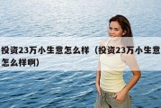 投资23万小生意怎么样（投资23万小生意怎么样啊）