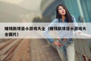 赚钱新项目小游戏大全（赚钱新项目小游戏大全图片）