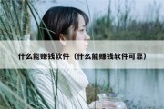 什么能赚钱软件（什么能赚钱软件可靠）