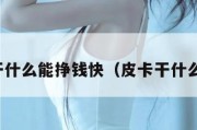 皮卡干什么能挣钱快（皮卡干什么赚钱）