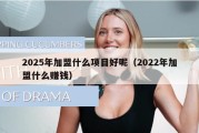 2025年加盟什么项目好呢（2022年加盟什么赚钱）
