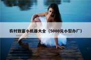 农村致富小机器大全（5000元小型办厂）