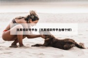 洗黑钱软件平台（洗黑钱软件平台哪个好）