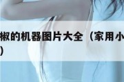 家用打辣椒的机器图片大全（家用小型打辣椒机多少钱）