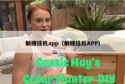 躺赚挂机app（躺赚挂机APP）