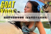 加盟好项目都有哪些（加盟项目什么好挣钱）